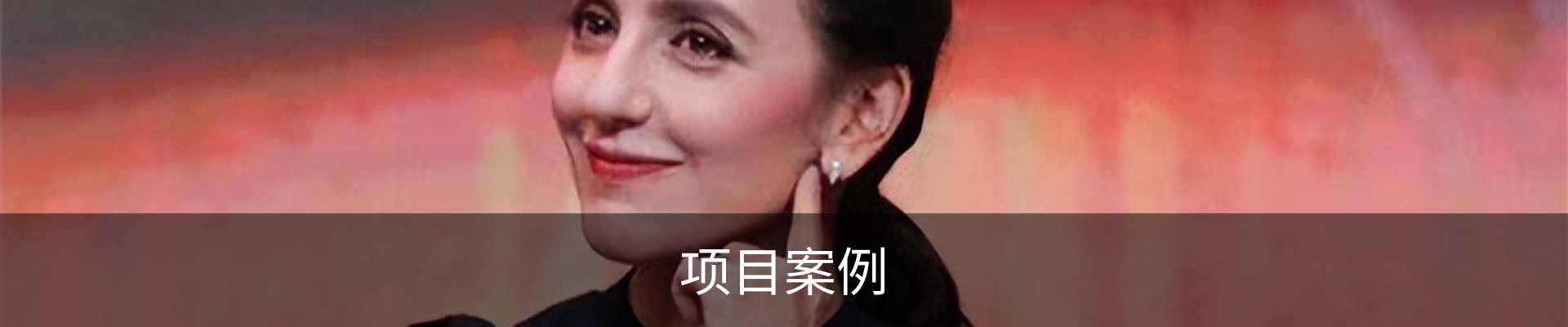 项目案例